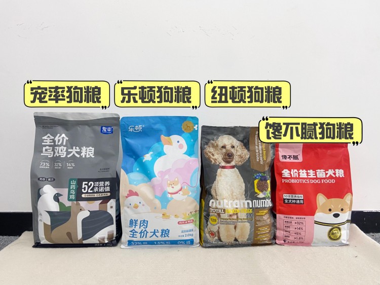 养公柴犬和养母柴犬的区别过来人：这对比太真实了！